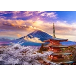 Fuji Mountain in Spring - Japan