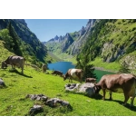 Fälensee - Beautiful Switzerland