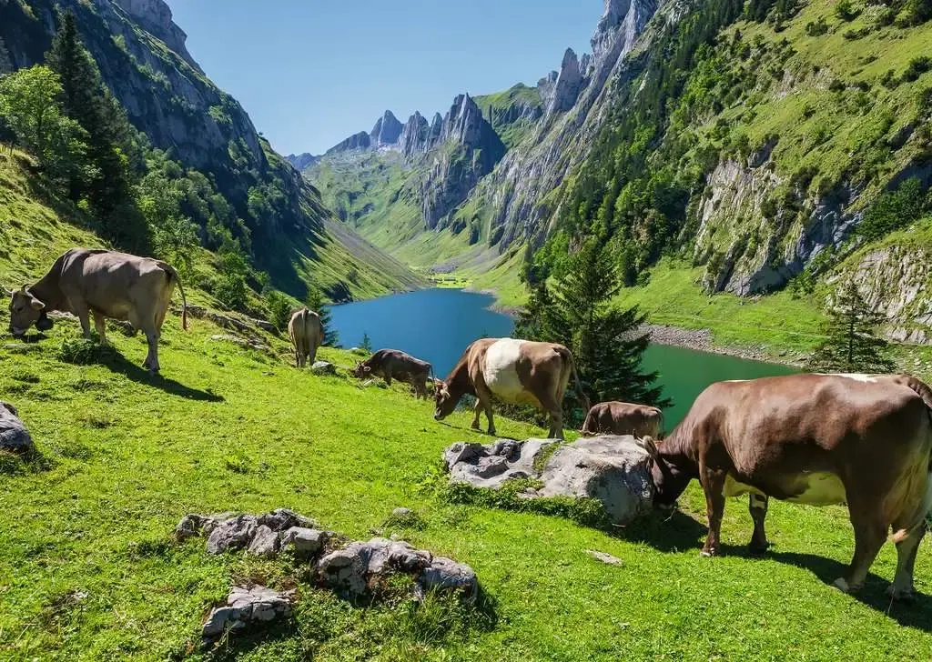 Fälensee - Beautiful Switzerland