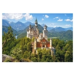 View of the Neuschwanstein Castle - Germany