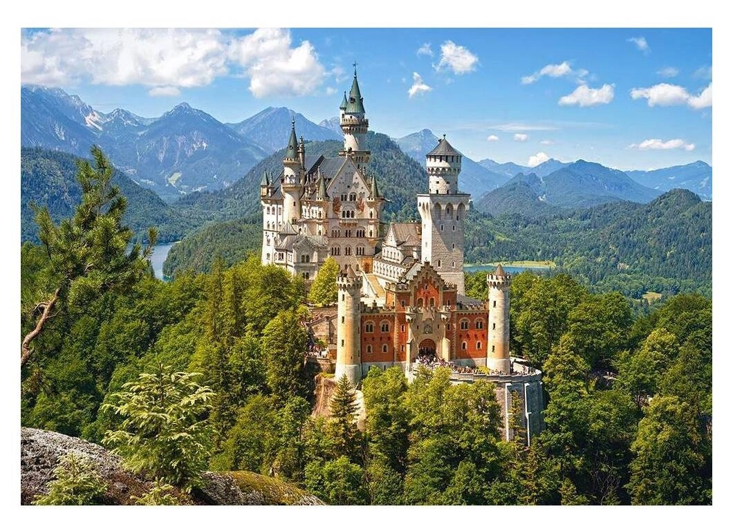 View of the Neuschwanstein Castle - Germany