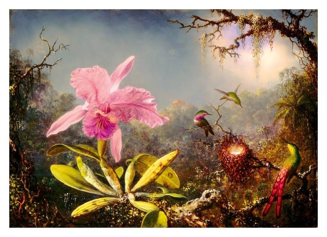 Cattleya Orchid and Three Hummingbirds - 1871 - Martin Johnson Heade