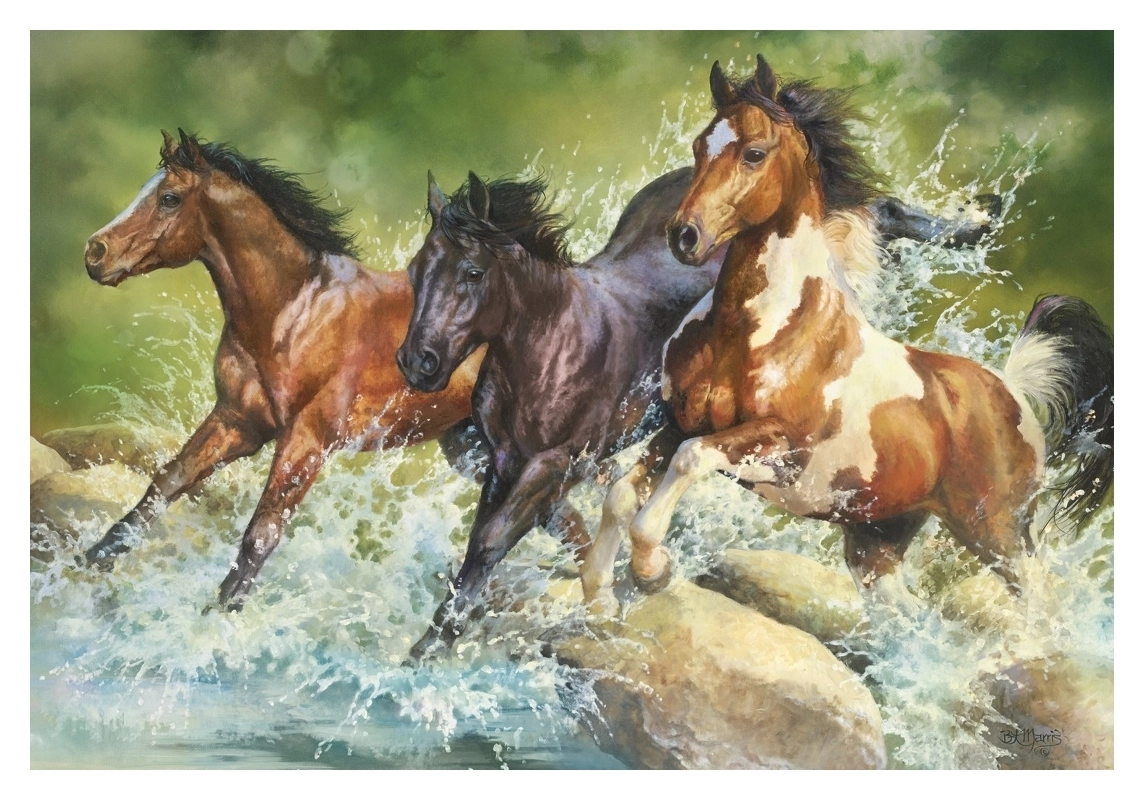 Three Wild Horses