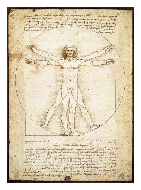 Der Vitruvianische Mensch - Leonardo da Vinci