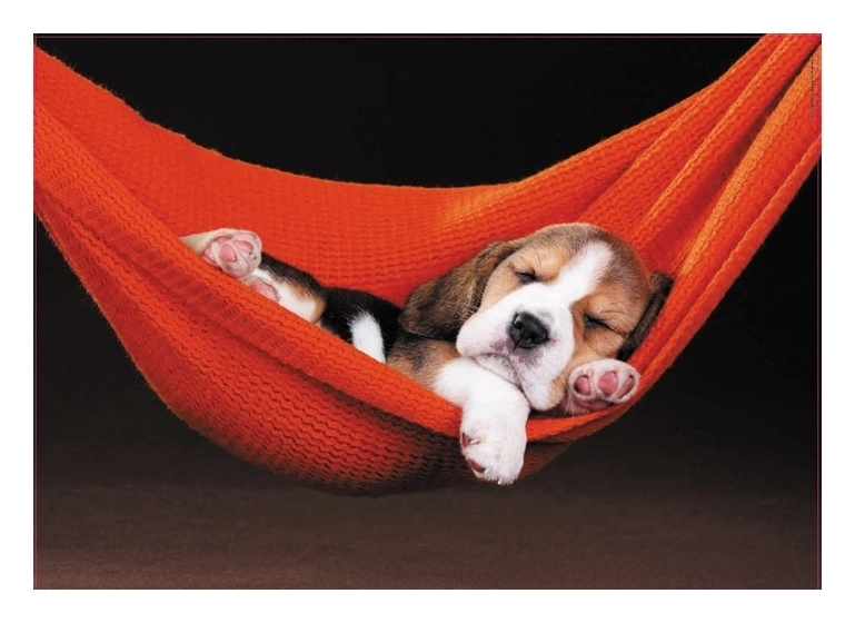 Sleeping in a Hammock