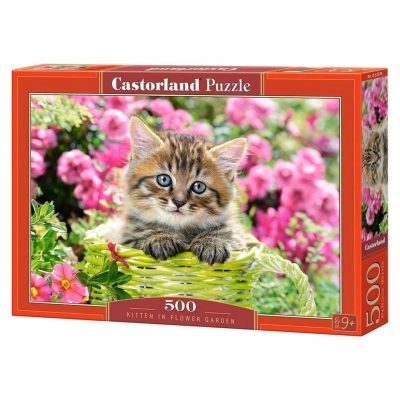 Kitten in flower garden