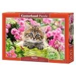 Kitten in flower garden