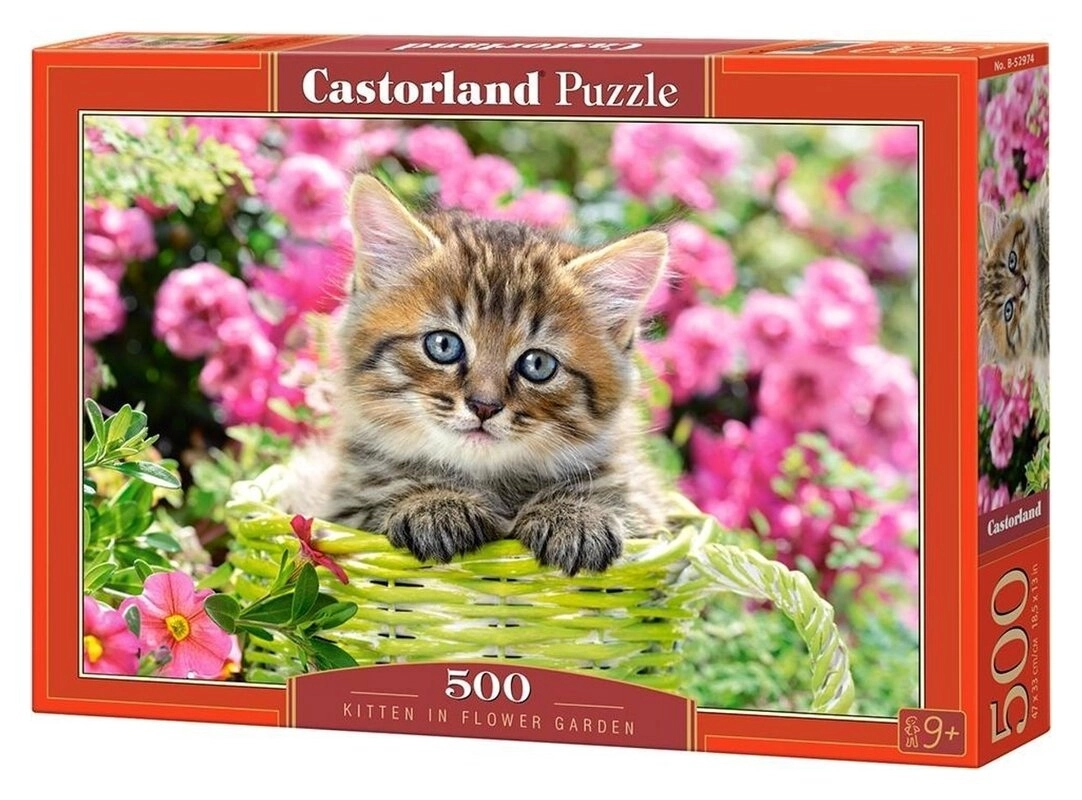 Kitten in flower garden