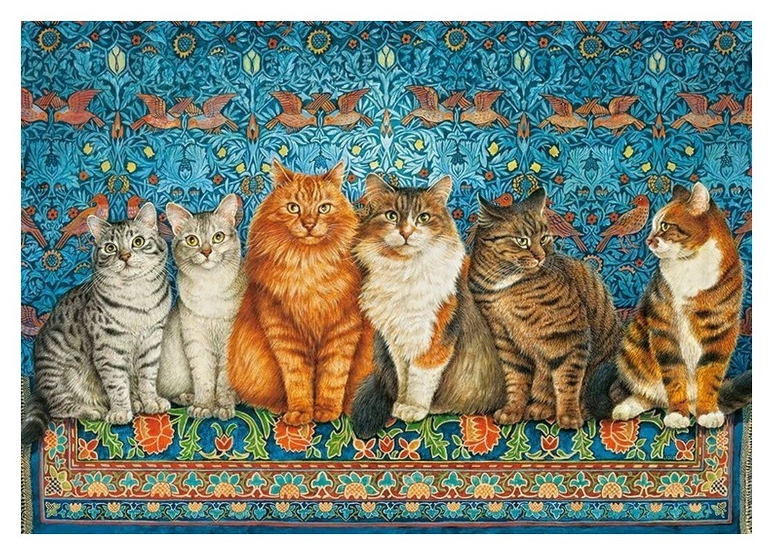 Cat Aristocracy