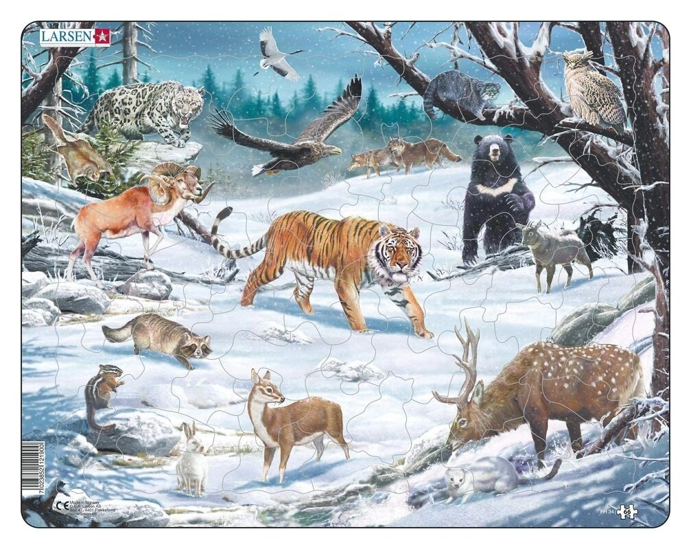 Winter Wildlife in Siberia and Northeast Asia