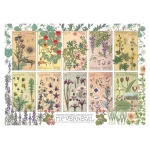 Botanicals by Verneuil