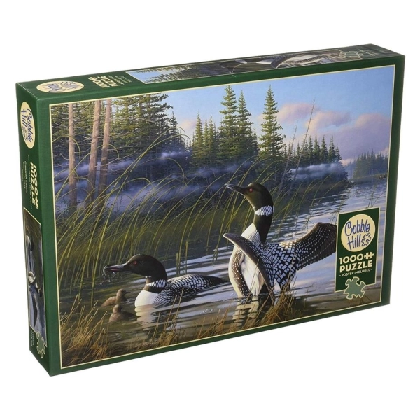 Common Loons