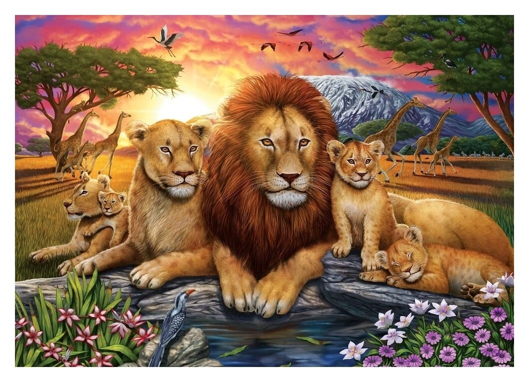 Lion Family