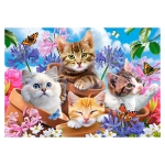 Kittens with Flowers