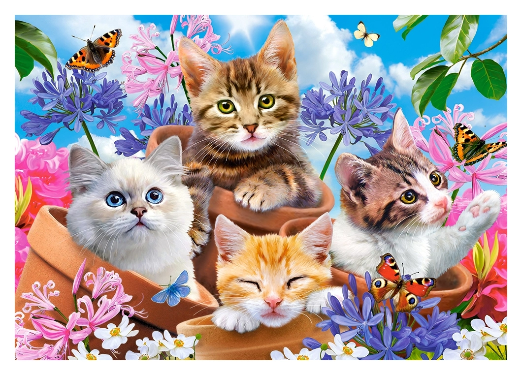 Kittens with Flowers