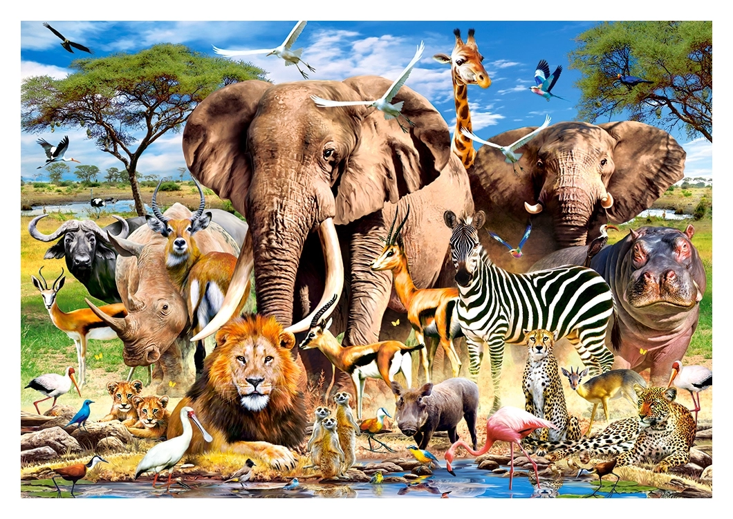 Savanna Animals