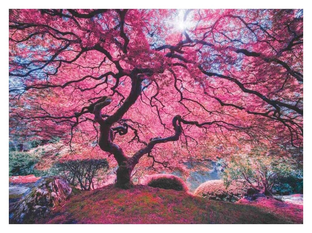 Pink Tree