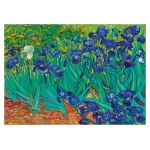 Irises - 1889 - Vincent Van Gogh