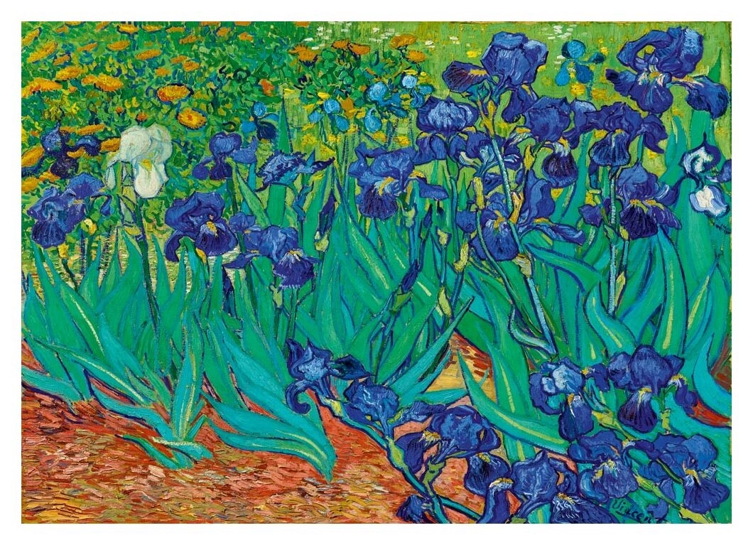 Irises - 1889 - Vincent Van Gogh