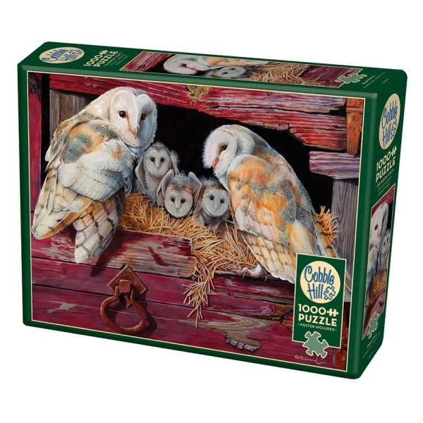 Barn Owls