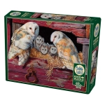 Barn Owls