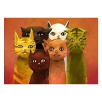 The Team of Cats