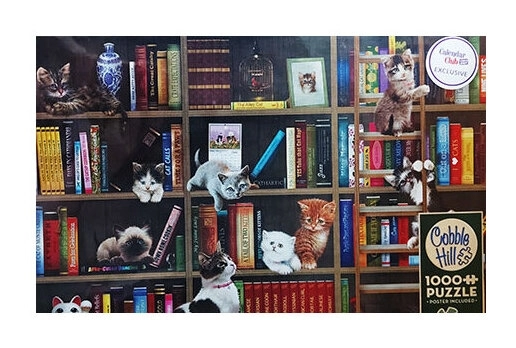 Katzen in der Bibliothek