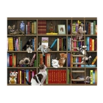 Katzen in der Bibliothek