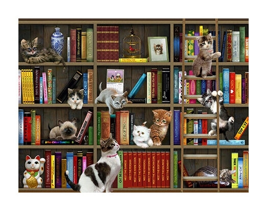 Katzen in der Bibliothek