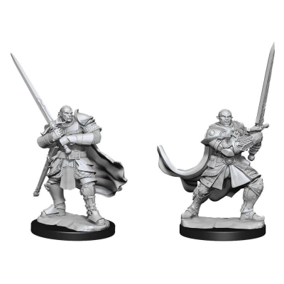 D&D Nolzur's Marvelous Miniatures: Half-Orc Paladin Male (2 Units) - EN