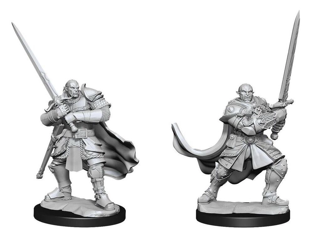 D&D Nolzur's Marvelous Miniatures: Half-Orc Paladin Male (2 Units) - EN