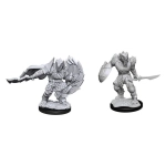 D&D Nolzur's Marvelous Miniatures: Dragonborn Fighter Male (2 Units) - EN