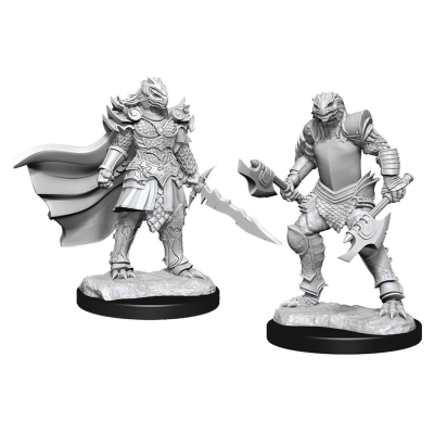 D&D Nolzur's Marvelous Miniatures: Dragonborn Fighter Female (2 Units) - EN