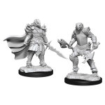 D&D Nolzur's Marvelous Miniatures: Dragonborn Fighter Female (2 Units) - EN