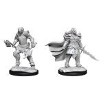 D&D Nolzur's Marvelous Miniatures: Dragonborn Fighter Female (2 Units) - EN