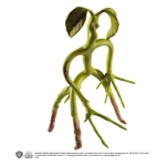 Phantastische Tierwesen Biegefigur Bowtruckle 18 cm