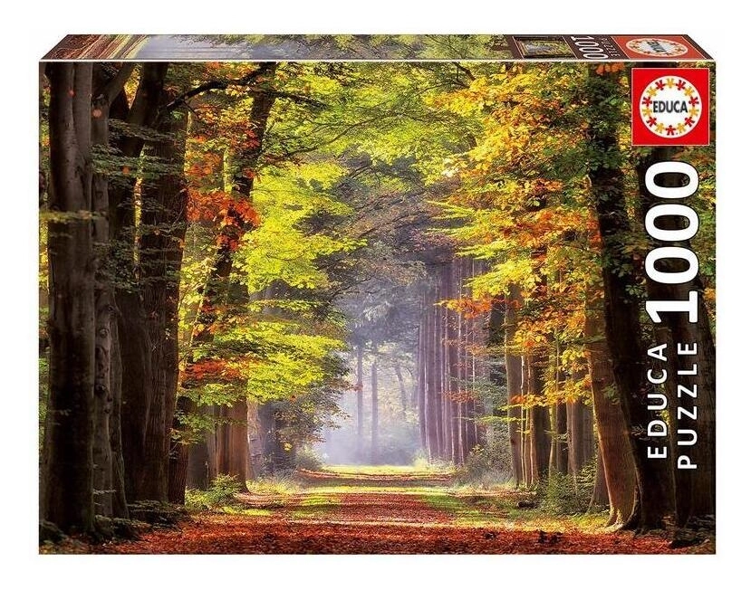 Herbstweg durch Wald