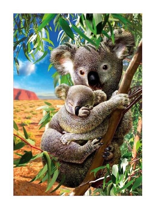 Koala mit Koala-Baby