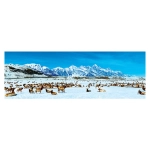 Elk Refuge