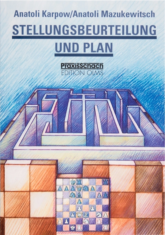 Stellungsbeurteilung und Plan