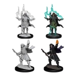 Pathfinder Battles Deep Cuts Miniaturen unbemalt Elf Sorcerer Male 