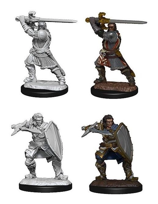 D&D Nolzur`s Marvelous Miniatures W14 Human