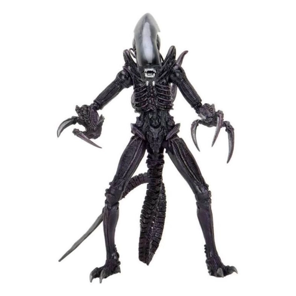 Alien vs Predator Actionfiguren 20 cm Alien Sortiment