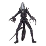 Alien vs Predator Actionfiguren 20 cm Alien Sortiment