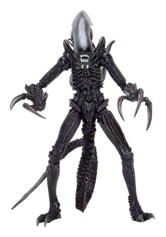 Alien vs Predator Actionfiguren 20 cm Alien Sortiment