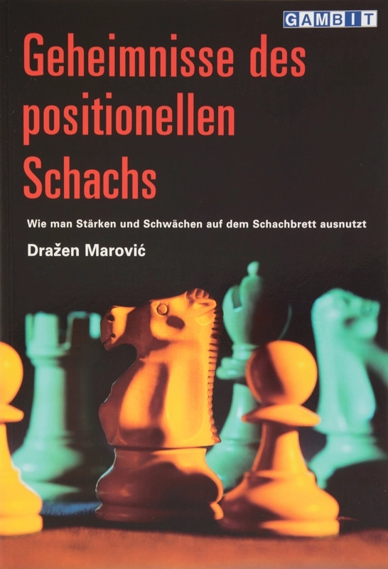 Geheimnisse des positionellen Schachs