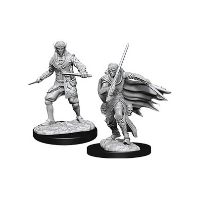 Pathfinder Battles Deep Cuts Miniaturen unbemalt Male Elf Rogue 