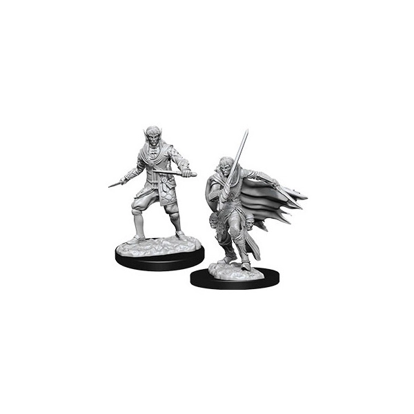 Pathfinder Battles Deep Cuts Miniaturen unbemalt Male Elf Rogue 