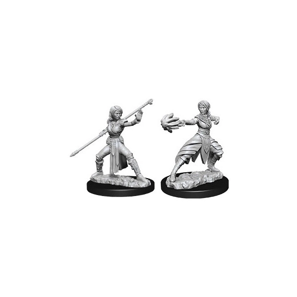 D&D Nolzur's Marvelous Miniatures - Female Half-Elf Monk