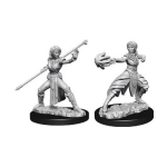 D&D Nolzur's Marvelous Miniatures - Female Half-Elf Monk